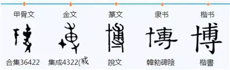 博 五行|博字五行属什么，为什么？姓名学解释是什么？